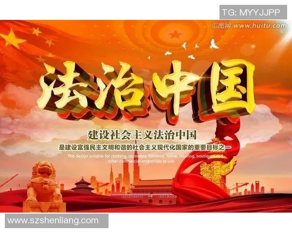 以法治为中心推动社会治理现代化加强法治建设与社会和谐发展的有效衔接 以法治为中心推动社会治理现代化加强法治建设与社会和谐发展的有效衔接