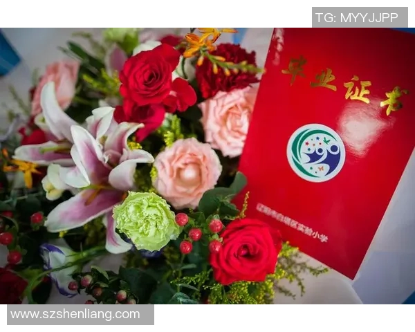 与赵丽畅谈篮球生涯的点滴与成长之路