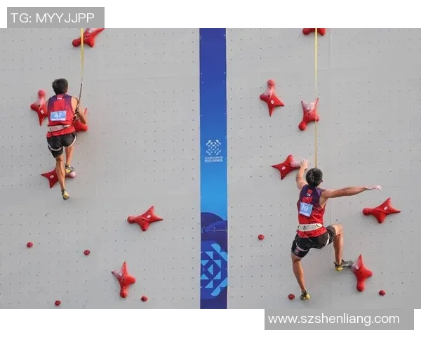 成都攀岩队的奋斗历程与成长故事全景纪实