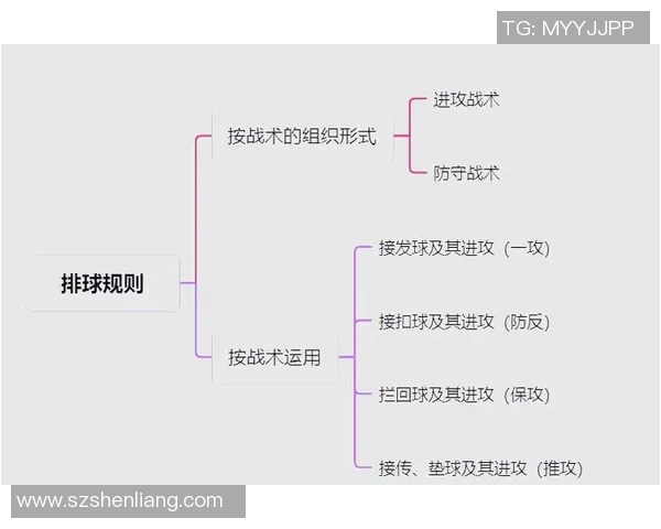 武汉排球队整体压制打法深度分析与战术解读