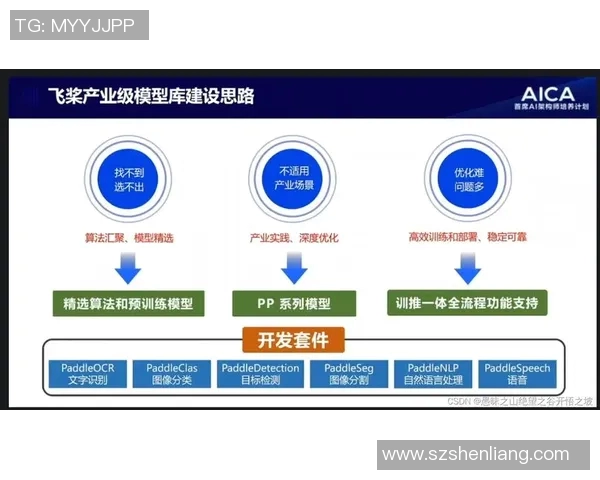 深圳排球队技术揭秘：从基础训练到战术运用的全景分析