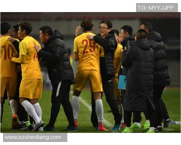 西安足球队意识争议引发热议球迷对球队表现和管理的不同看法