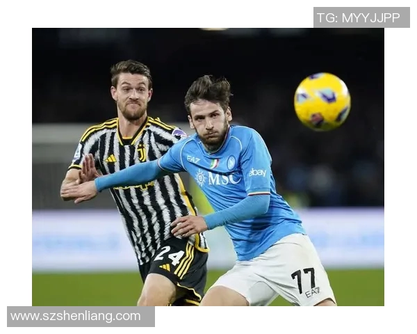 足球迷必备：意甲全部参赛球队总览与特点介绍