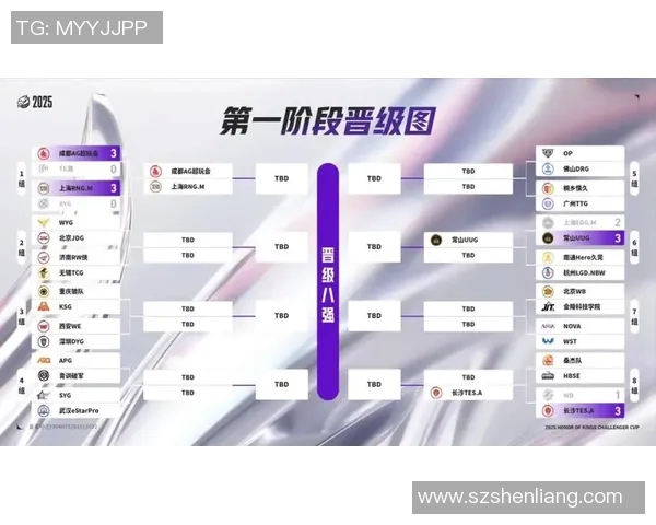WE在挑战者杯中的节奏表现分析与战术探讨 WE在挑战者杯中的节奏表现分析与战术探讨
